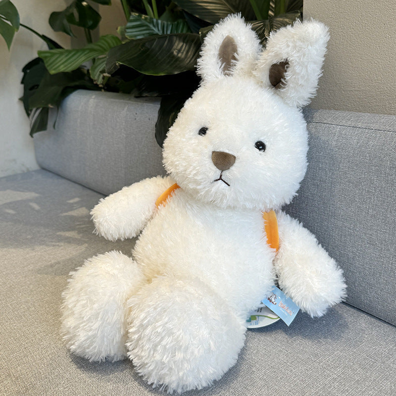 Adorable Plush Toy Dog Doll Collection-4