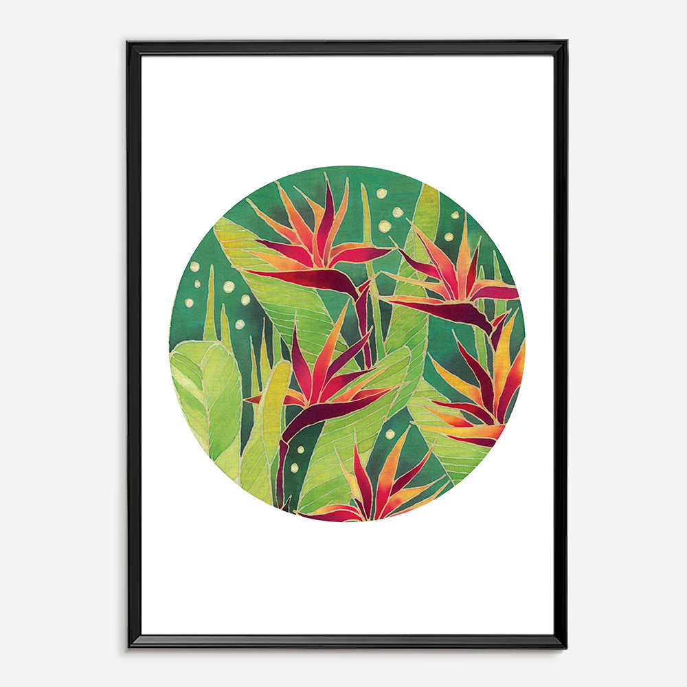 Bird of Paradise-0