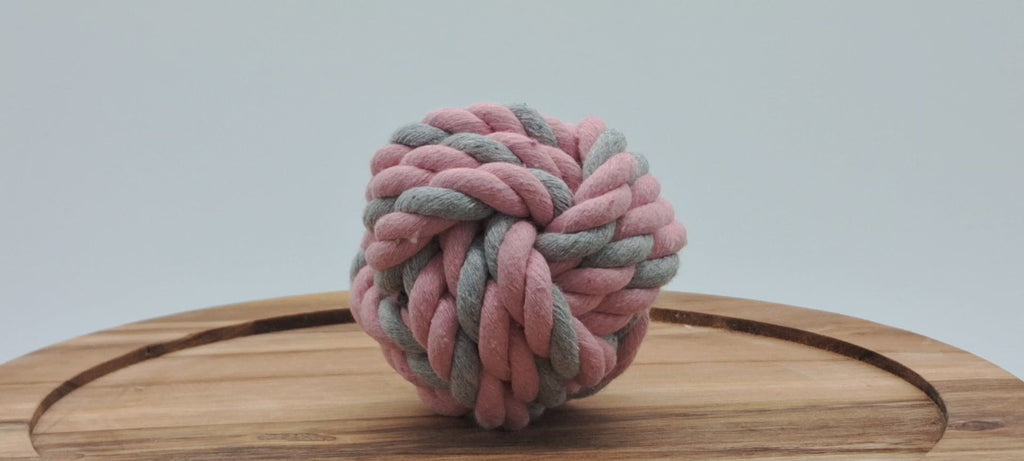 Fetch Ball-7