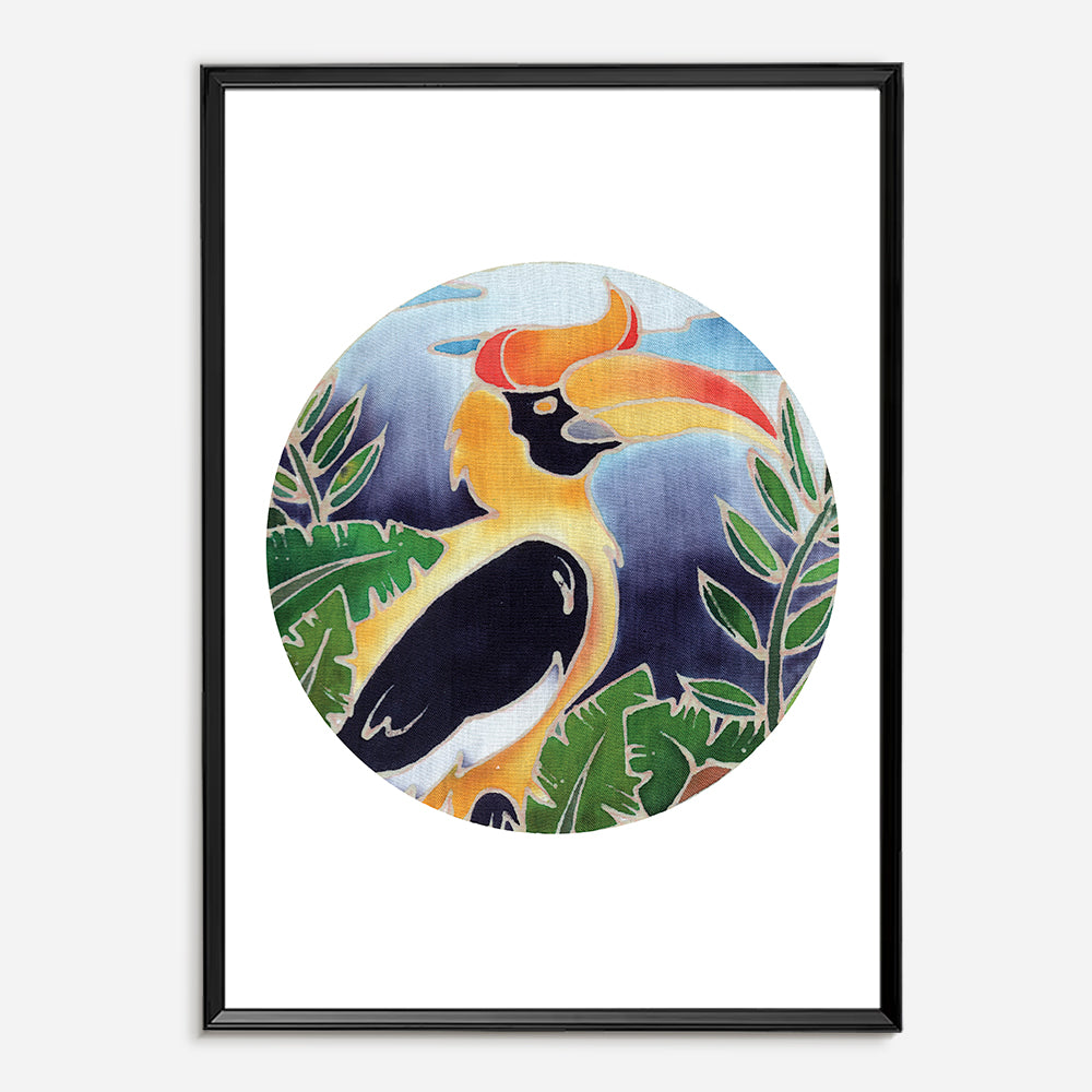 Rhinocerous Hornbill-0