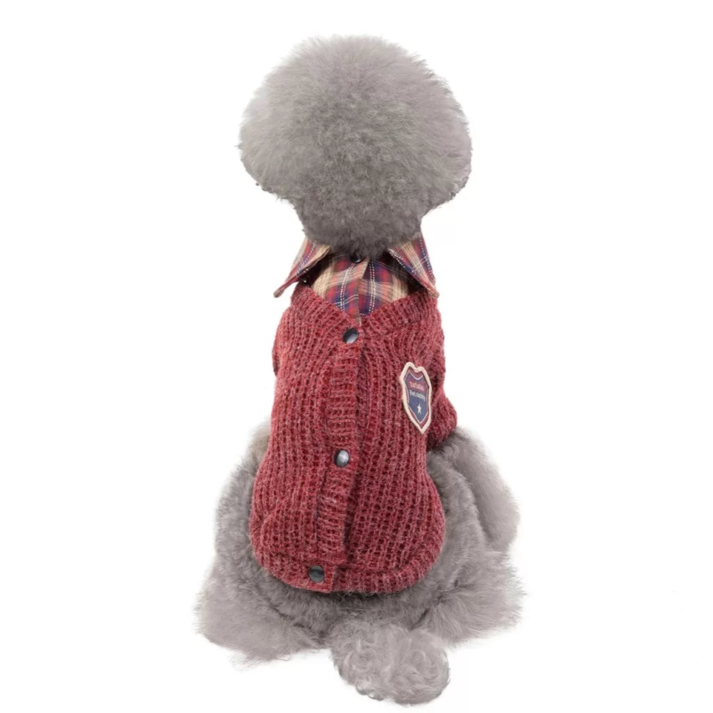Professor by Doggy Doo Little-1