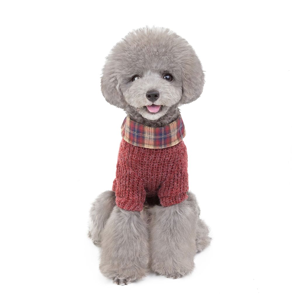 Professor by Doggy Doo Little-3