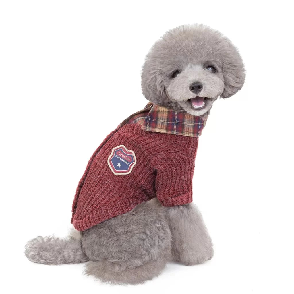 Professor by Doggy Doo Little-2